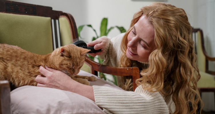 El gato elige: Estas son las razones por las cuales un felino decide dormir y convivir con una persona