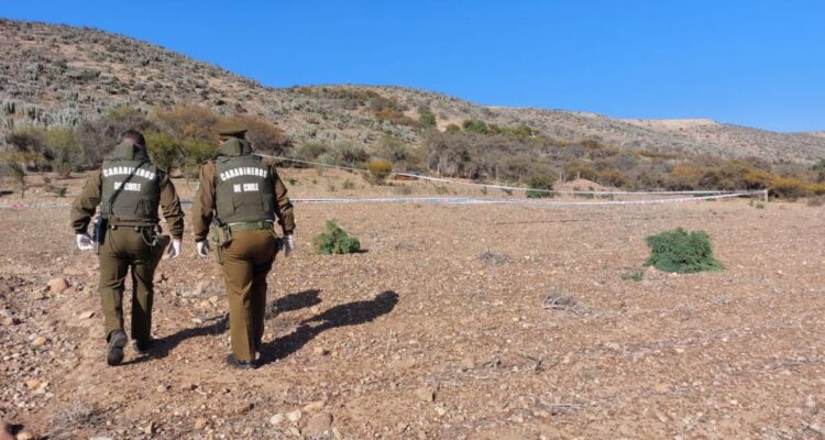 Arriero encuentra cuerpo de mujer en estado de descomposición en sector San Julián de Ovalle