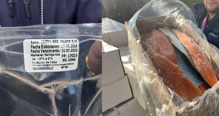 Autoridades decomisan 1 tonelada y media de salmón vencido en local de La Reina