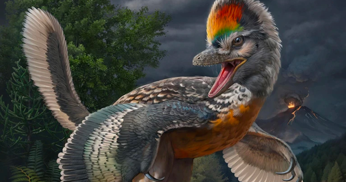 Descubren diminuto dinosaurio-pájaro de hace 150 millones de años en China: Fuijianvenator prodigiosus