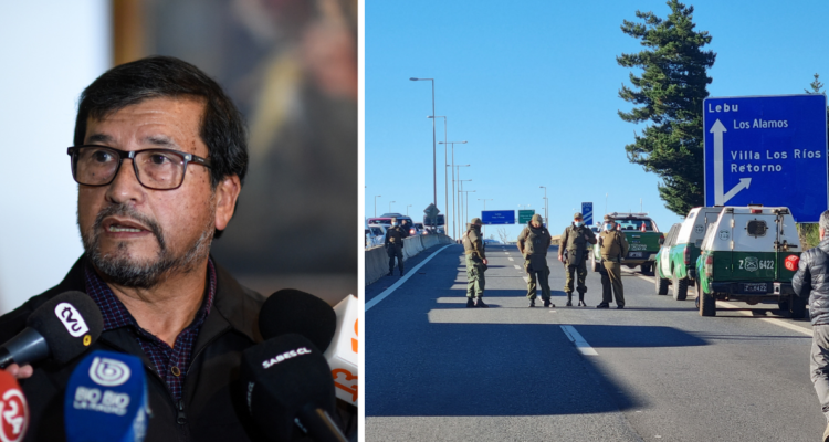 provincia de arauco, humberto toro, conflicto mapuche