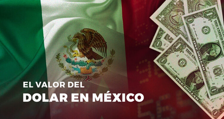  Departamento de Tecnología e Innovación Bío Bío Comunicaciones