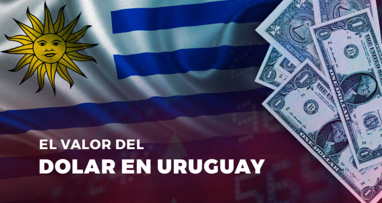  Departamento de Tecnología e Innovación Bío Bío Comunicaciones
