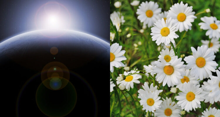 Equinoccio de primavera