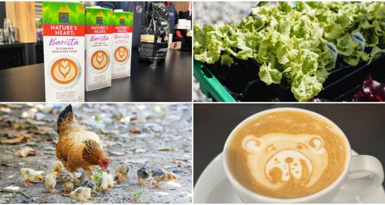 Contexto | BioBioChile | Pexels