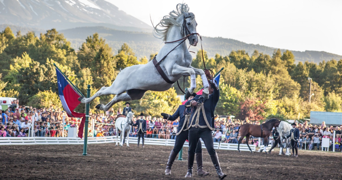 Vuelve espectáculo ecuestre con jinetes y caballos a la “Semana de la Chilenidad” en La Reina