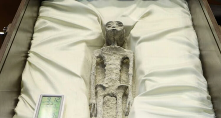 ¿Falsas?: Momias extraterrestres en México estarían hechas de huesos de animales, papel y pegamento