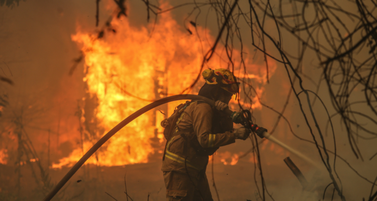 Fiscalía incendios forestales