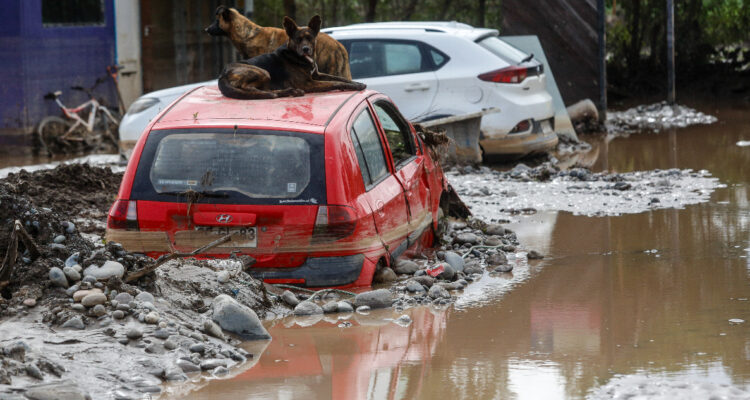 Inundaciones y construcción de nuevos embalses