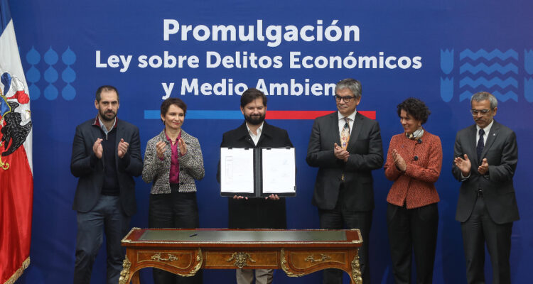 Promulgación ley de delitos económicos