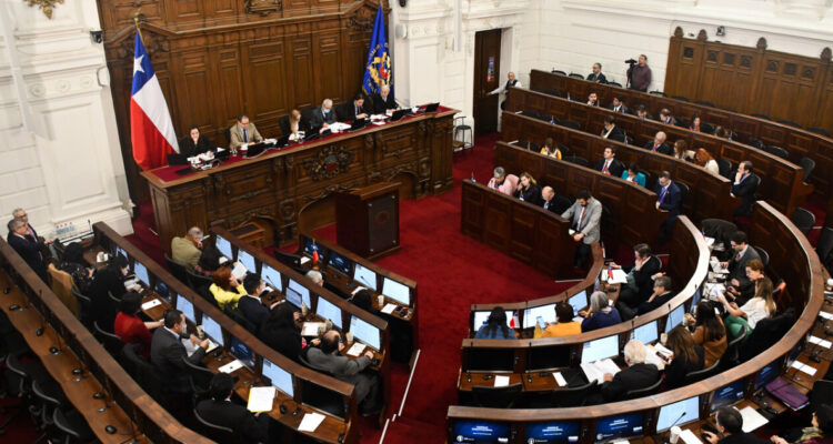 Consejo constitucional, contribuciones