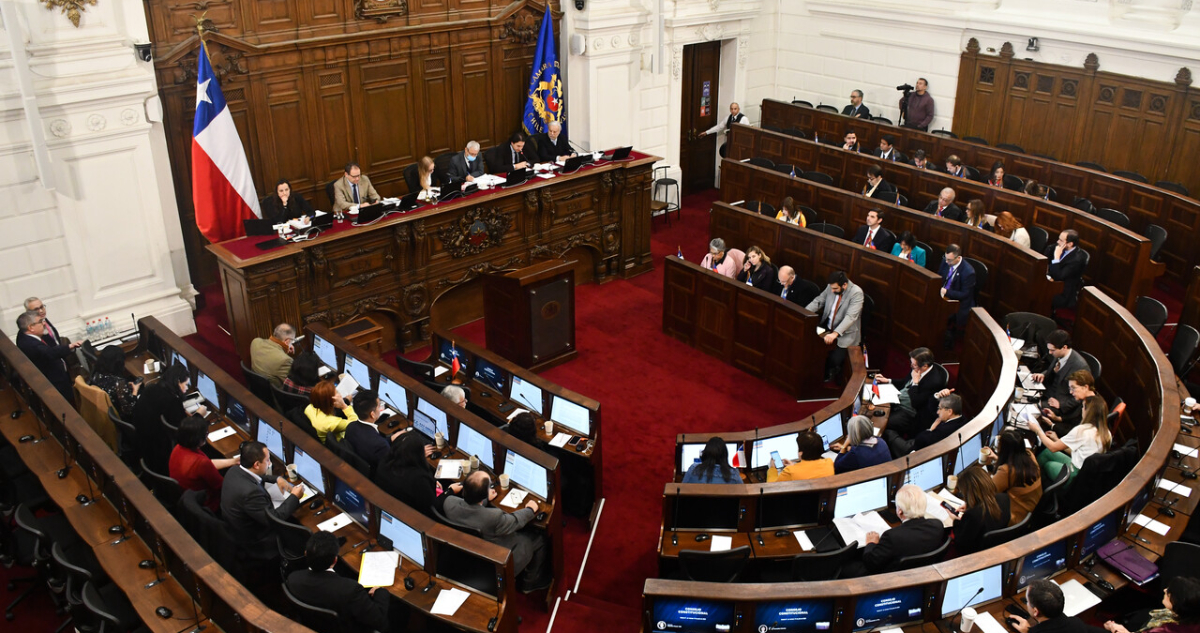 Consejo constitucional, contribuciones