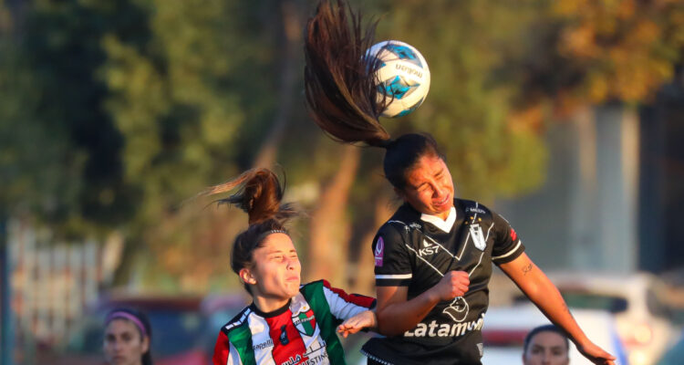 fútbol femenino nacional
