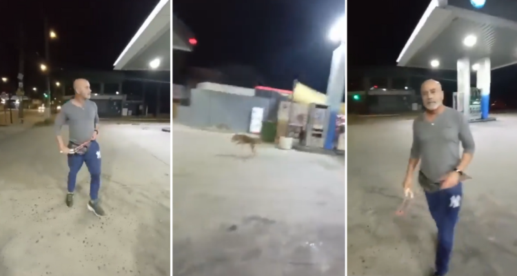 Graban a sujeto lanzándole piedras a un perro con una honda