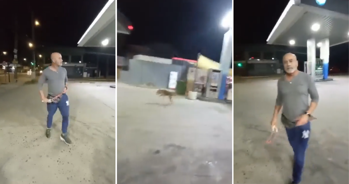 Graban a sujeto lanzándole piedras a un perro con una honda