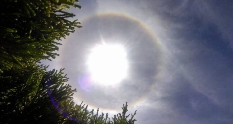 El halo solar es un evento inédito