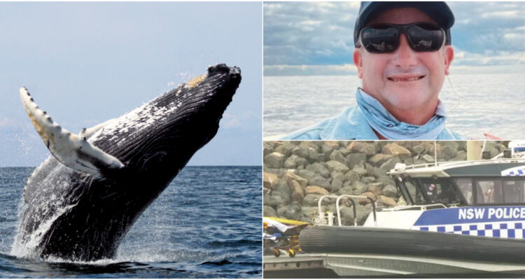 Hombre muere por golpe de ballena a su barco