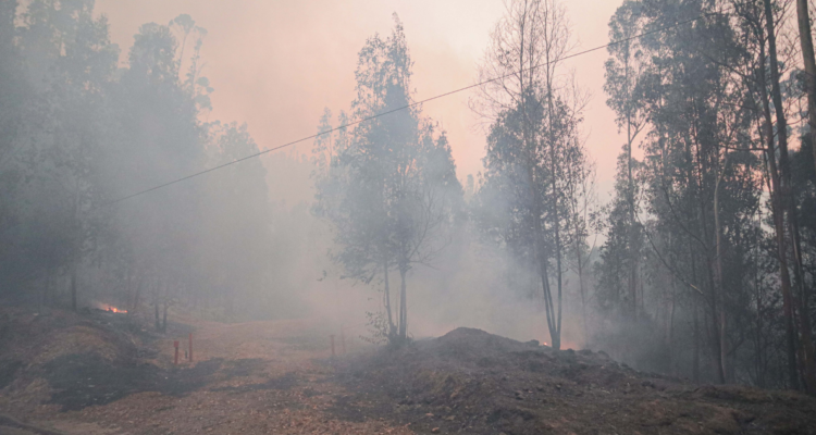 incendio en Santa Juana