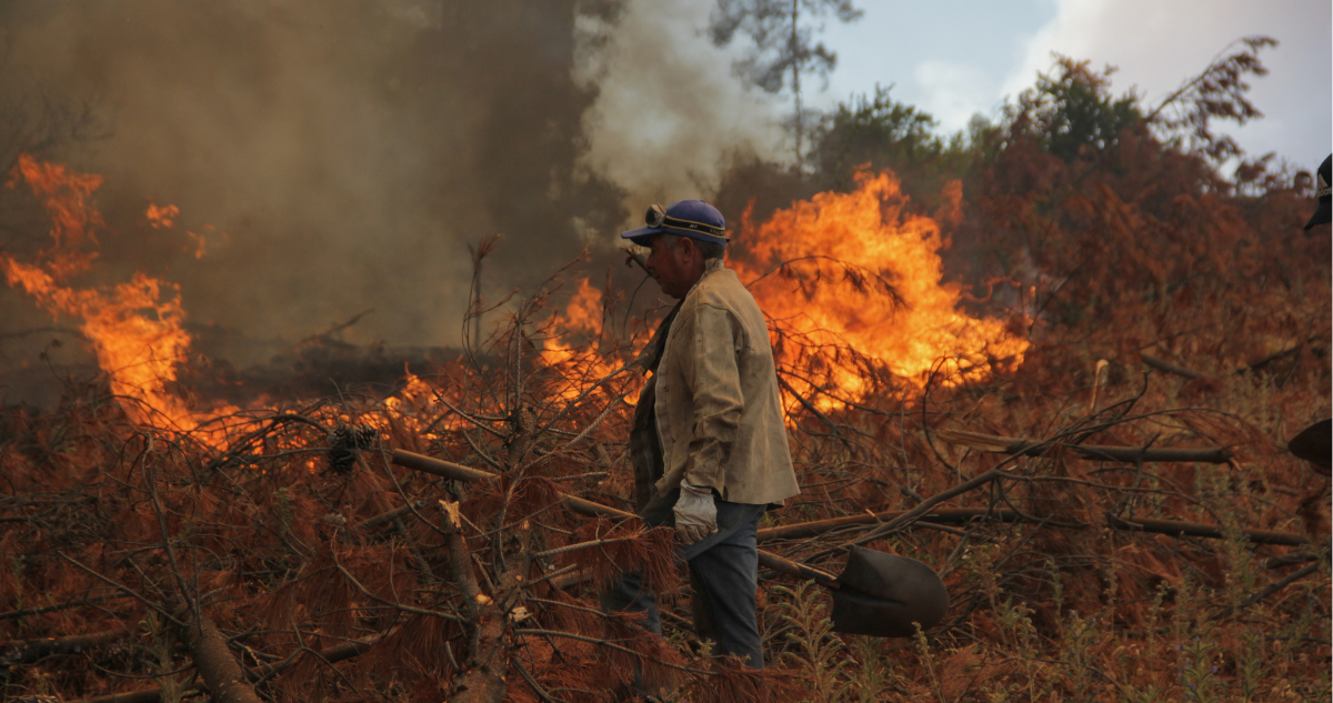 incendios Fiscalía