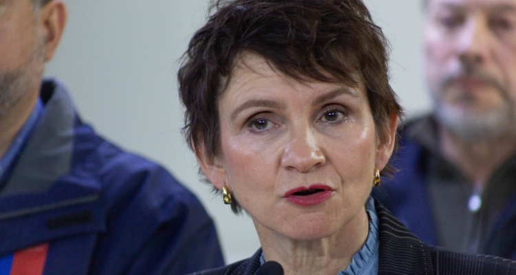 interpelación Carolina Tohá