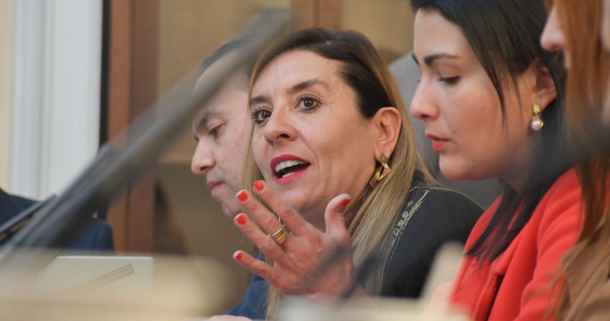 “Cuentas corrientes”: Consejera constitucional Mangelsdorff (RN) aparece imputada en caso de fraude