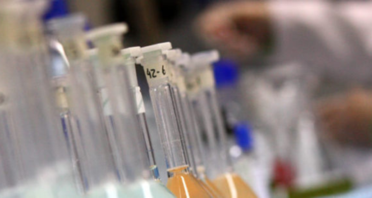 laboratorio sanderson