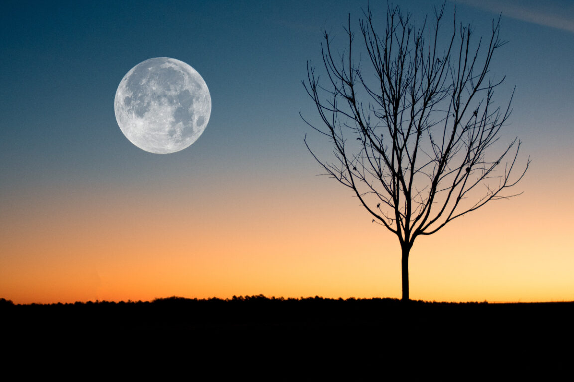 La luna en el horizonte