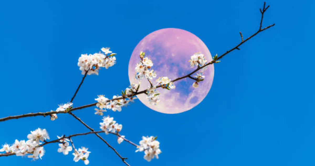 Eventos astronómicos en septiembre de 2023: equinoccio de primavera, un cometa y la última Superluna