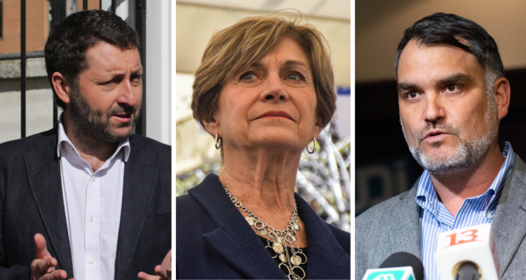 Matthei Constitución