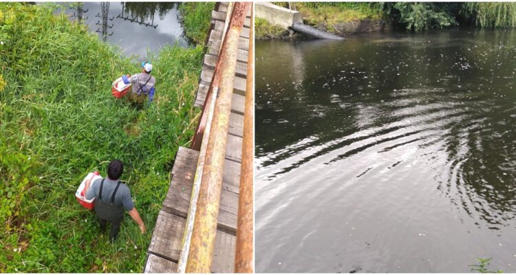 Acción por el río Damas – Facebook
