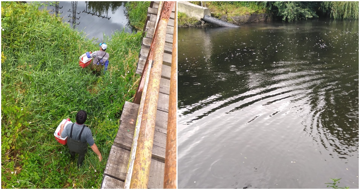 Acción por el río Damas – Facebook

