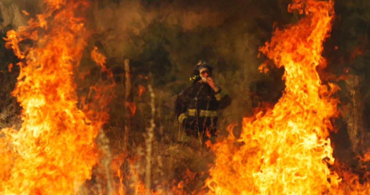 Abren postulaciones para combatir incendios en Los Ríos: Conaf necesita más de 100 brigadistas