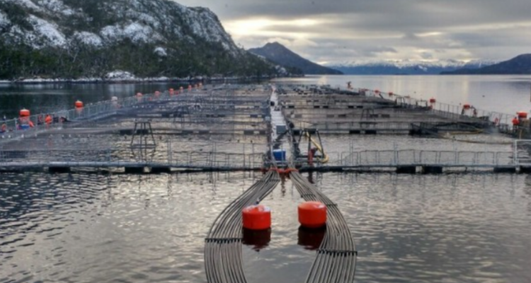 Nova Austral a un paso del cierre Tribunal rechazó apelación