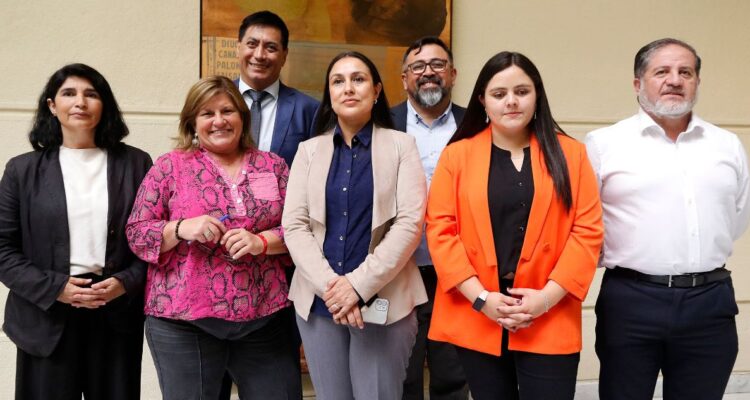 Consejo Constitucional aprueba que parlamentarios que renuncien a su partido perderán el escaño