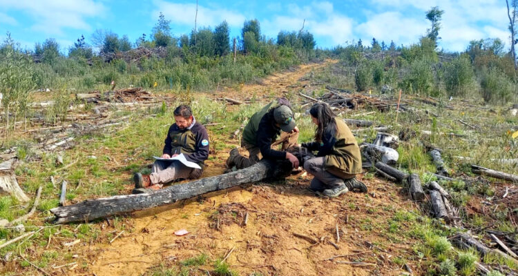 parque nacional nonguen cierra