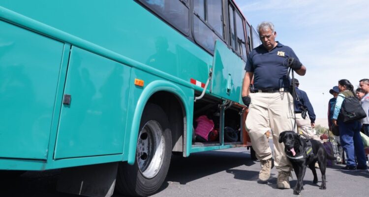 Perros permiten la detención de dos extranjeros que portaban más de 10 mil dosis de droga en Arica