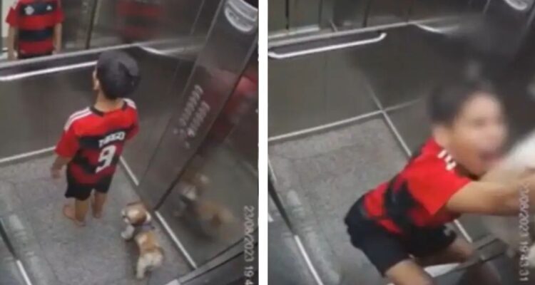 Un pequeño niño de 11 años en Brasil tuvo angustitantes momentos en un ascensor luego de que su perro casi muriera ahorcado al quedar atrapado.