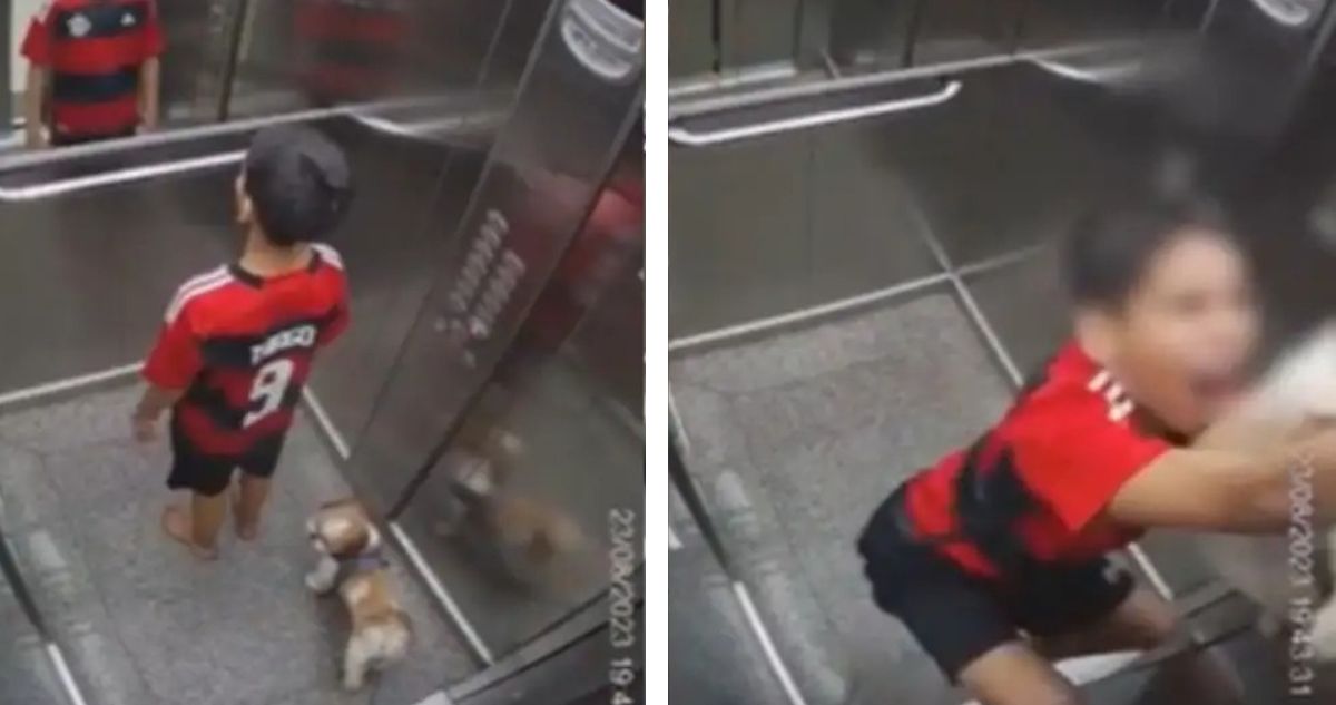 Un pequeño niño de 11 años en Brasil tuvo angustitantes momentos en un ascensor luego de que su perro casi muriera ahorcado al quedar atrapado.
