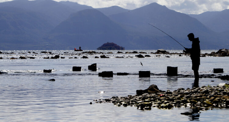 Inicia nueva temporada de pesca recreativa de salmón Chinook en La Araucanía
