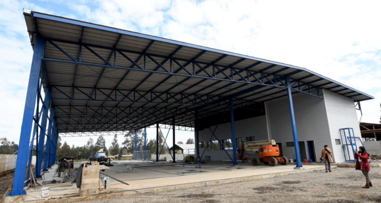 planta revisión técnica padre las casas