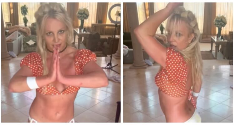 Preocupación por los 3 perros de Britney Spears tras video con cuchillos: Experto analizó la secuencia