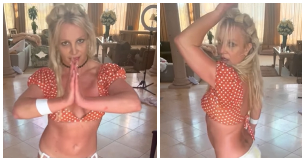 Preocupación por los 3 perros de Britney Spears tras video con cuchillos: Experto analizó la secuencia
