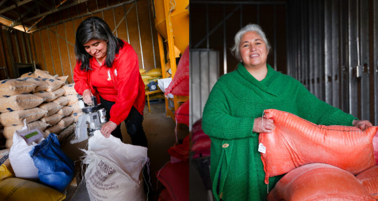 Indap pone en marcha programa piloto de financiamiento escalable para cooperativas