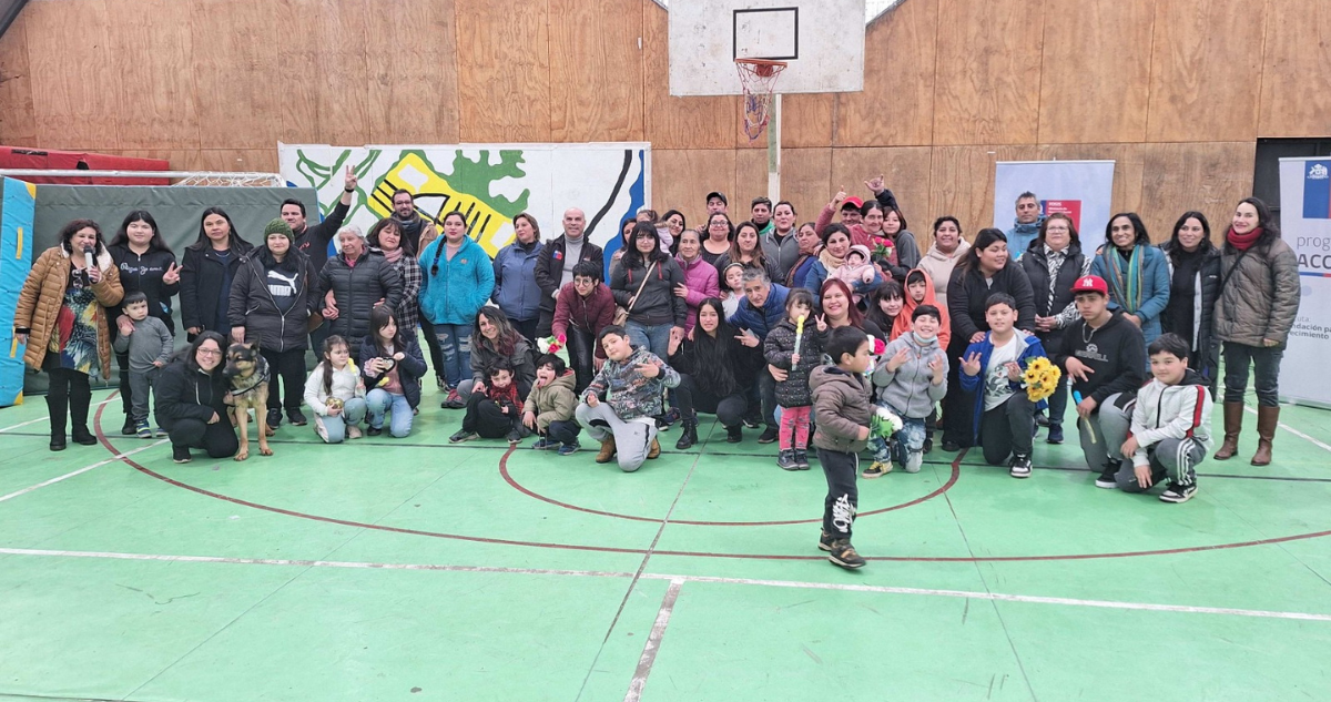 Programa salud mental valdivia