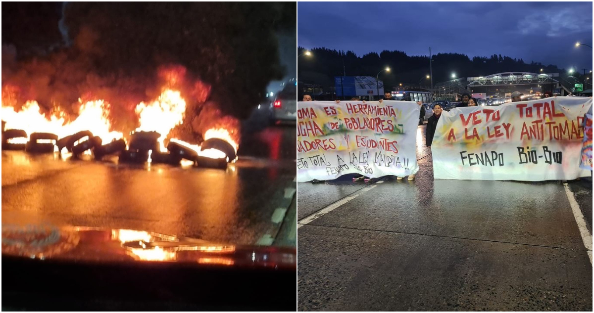 protesta-penco-ley-anti-tomas