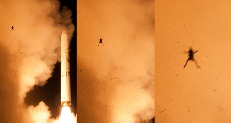 Se cumplen 10 años desde el inaudito caso de la “rana voladora” de la NASA: su estado fue incierto
