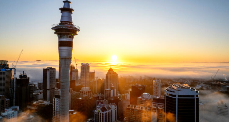 reclutadoras-nueva-zelanda-contraofensiva-legal-judicial-trabajos