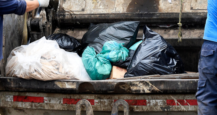 CORE Los Ríos recolectores