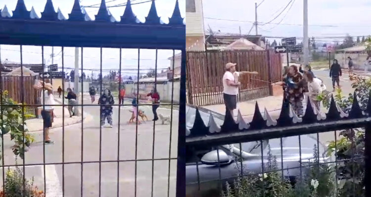 riña limache pelea region de valparaiso vecinos