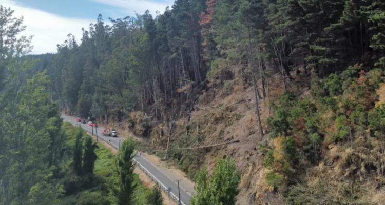 Ruta de la Madera